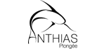anthias-plongee logo